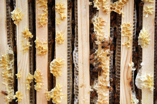 Beeswax Canvas Wax – Stoked Beekeeping Co.
