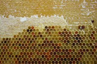 Beeswax Canvas Wax – Stoked Beekeeping Co.